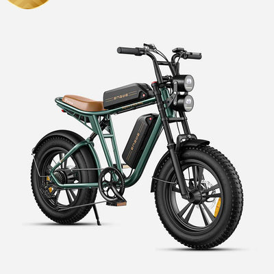 ENGWE M20